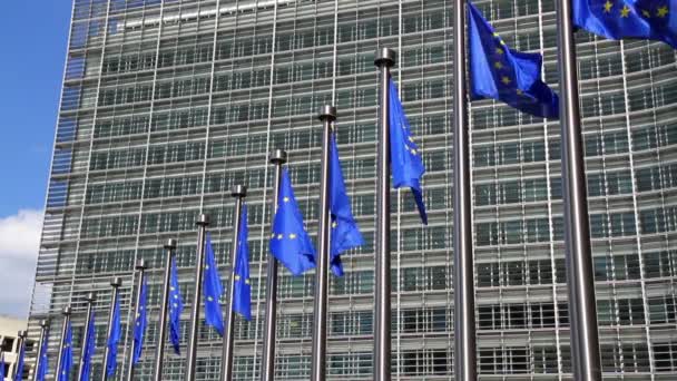 Europeiska Kommissionen Bryssel — Stockvideo