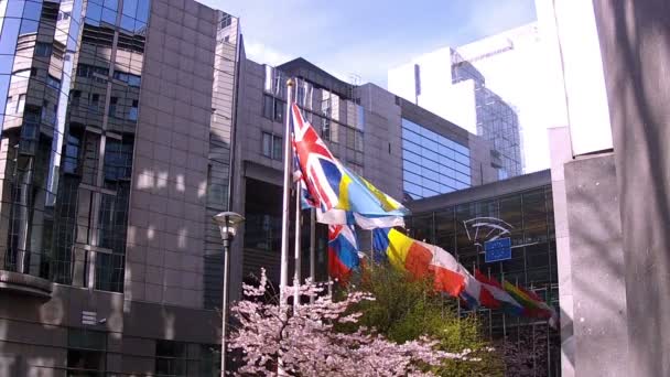 Banderas Los Países Europeos Ondeando Viento Frente Parlamento Europeo Bruselas — Vídeo de stock