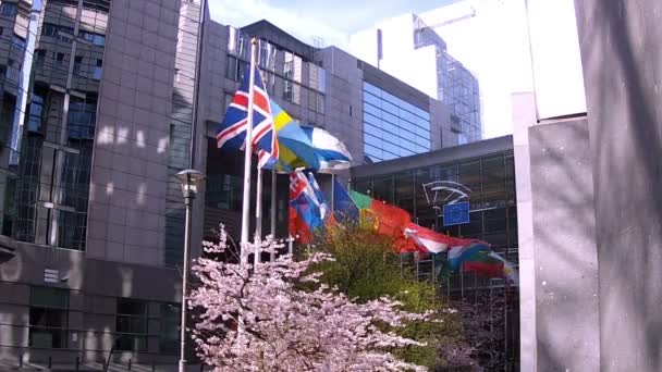 Europeiska Länder Flaggor Viftar Vinden Inför Europaparlamentet Bryssel Belgien — Stockvideo