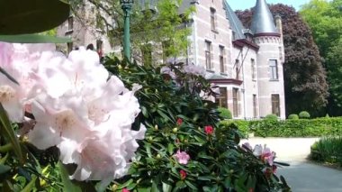 Belçika kırsalında bir kale.