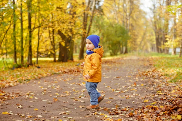 Schattig jongetje in gele jas langs het pad en — Stockfoto