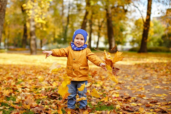 Micuțul băiat adorabil în jachetă galbenă aruncă frunze de arțar într-o — Fotografie, imagine de stoc