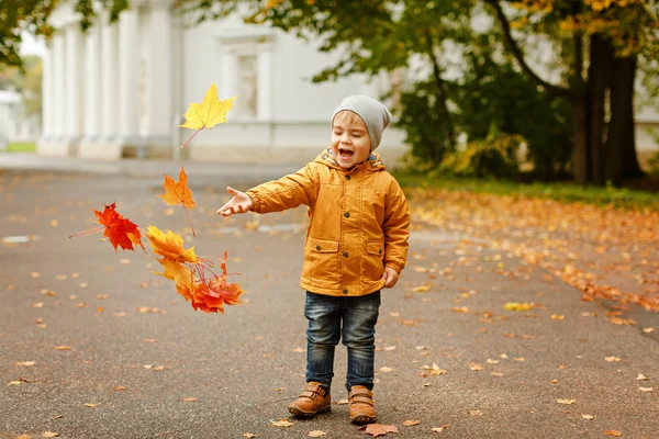 Schattig jongetje in gele jas werpt esdoorn bladeren in een — Stockfoto
