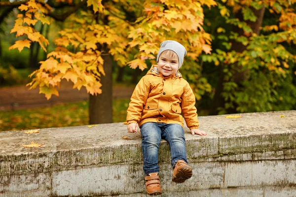 Schattig jongetje in gele jas glimlacht in het najaar — Stockfoto