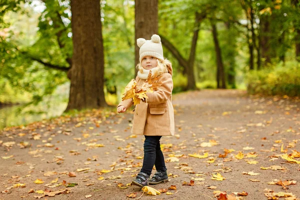 Маленька красива дівчинка в бежевому пальто, осінь в парку збирає — стокове фото