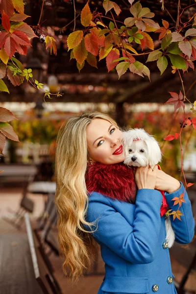 Ragazza bionda di lusso con bei capelli in un cappotto nel parco autunnale — Foto Stock