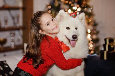 Büyük beyaz bir köpek içinde sarılma bir kırmızı kazaklı güzel mutlu kız
