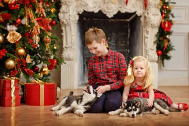 Husky kukla ile Noel için oynarken kardeş