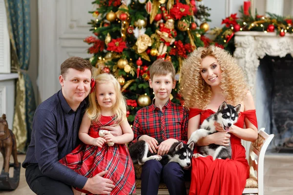 Οικογένεια με κόκκινο χρώμα μαζί με μεγαλόσωμος κουτάβια που κάθεται στο πίσω μέρος Χριστούγεννα — Φωτογραφία Αρχείου