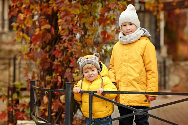 Two brothers hug in yellow jackets autumn — Stock Photo, Image