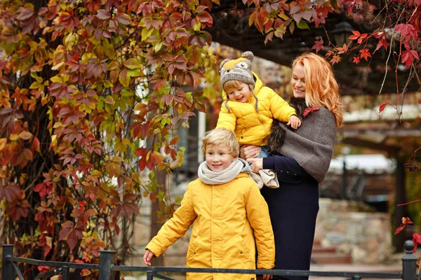 Два брата в желтых куртках и мама счастливые осенние листья — стоковое фото