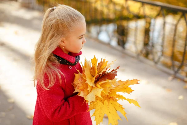 Маленька дівчинка в пальто в осінньому парку дивиться на відстань — стокове фото