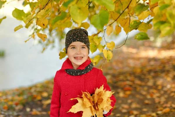 Fetiță în haină toamna în parc zâmbind fericit — Fotografie, imagine de stoc