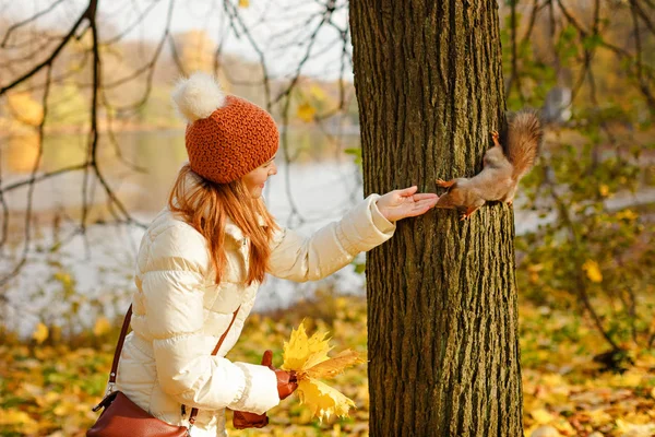 Rödhårig flicka i en mössa som matar ekorren i skogen höst — Stockfoto
