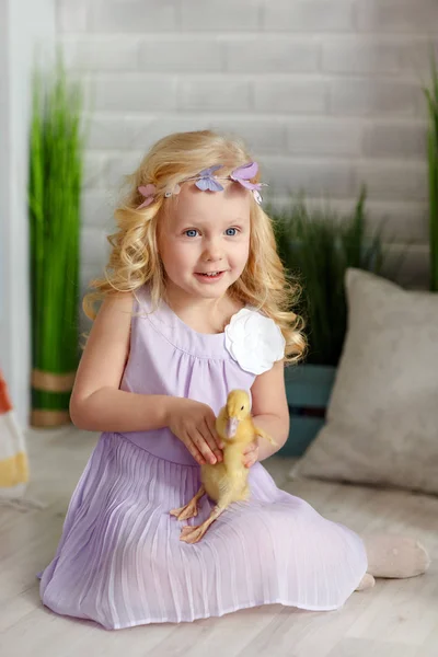 Affascinante bambina bionda in un vestito che tiene anatroccoli, in un l — Foto Stock