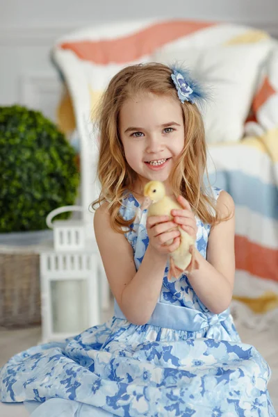 Affascinante bambina bionda in un vestito che tiene anatroccoli, in un l — Foto Stock