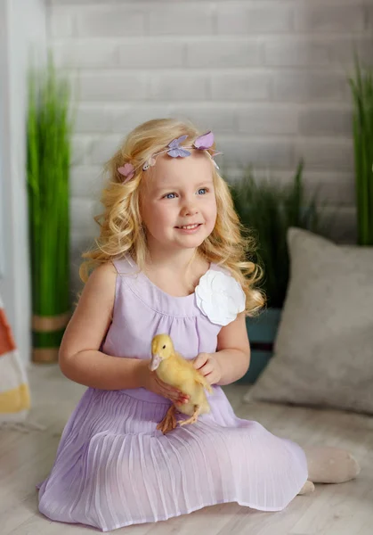 Affascinante bambina bionda in un vestito che tiene anatroccoli, in un l — Foto Stock