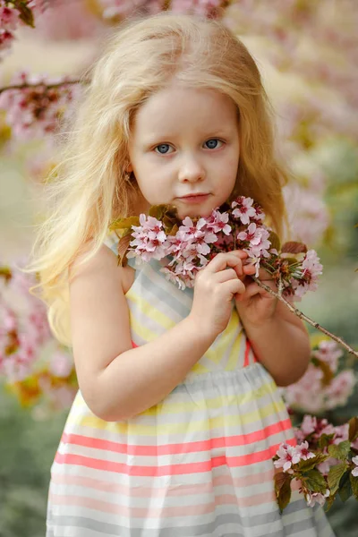 Une jolie fille blonde avec des cheveux luxuriants sur un spri sakura rose — Photo