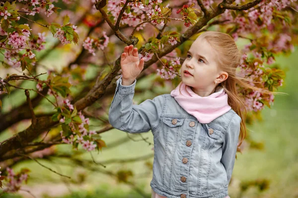 O fată blondă drăguță se uită la tufișurile florilor de cireșe în — Fotografie, imagine de stoc