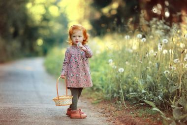 Küçük güzel kızıl saçlı küçük kız olarak karahindiba üzerinde üfleme