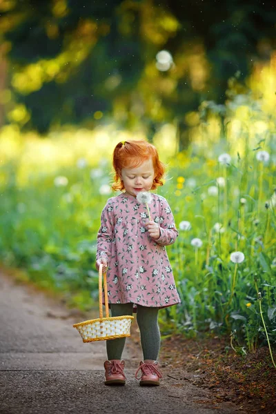 Pequena linda menina ruiva soprando no dente-de-leão, em — Fotografia de Stock