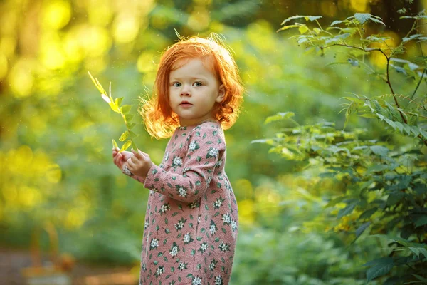 Pequena bela menina ruiva no verão na floresta segurando — Fotografia de Stock