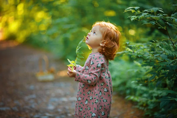 Little beautiful red-haired girl in summer in the forest holding — Stock Photo, Image