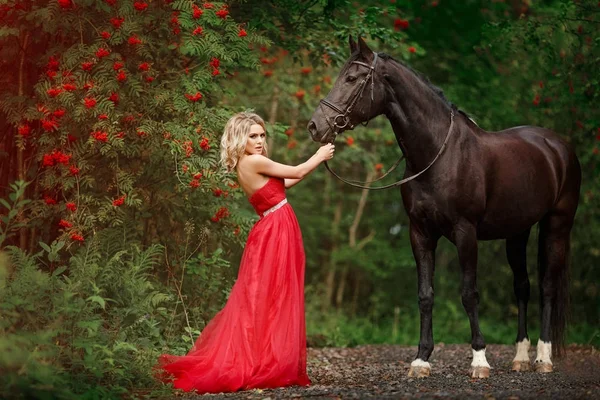 Красива струнка блондинка в червоній сукні обіймає чорного коня — стокове фото