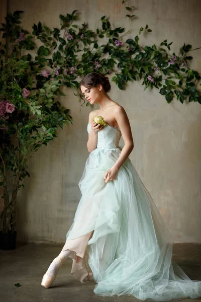 Hermosa bailarina elegante chica en un vestido de aire y puntas sho — Foto de Stock