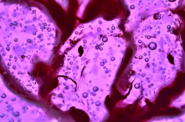 Arkaplan tasarımı desenli renk deseni soyut tasarımı 