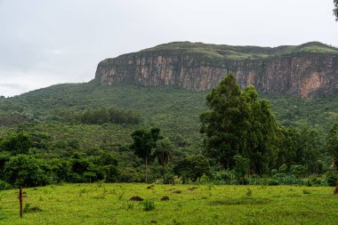 Brezilya 'da inanılmaz bir senaryo