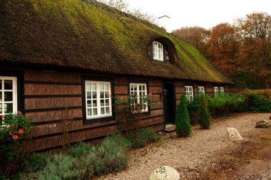 Küçük bir köyde, küçük güzel kulübeleri ve yeşil çitleri olan geleneksel Danimarka evi. Danimarka Doğa 'sı. Danimarka Çiftlik Evi.