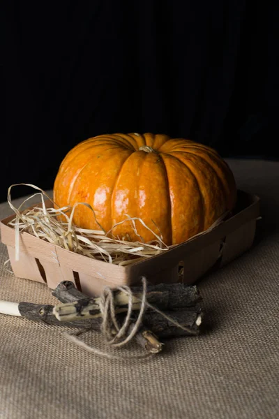 Halloween nápady, dýně v dřevěné krabici — Stock fotografie