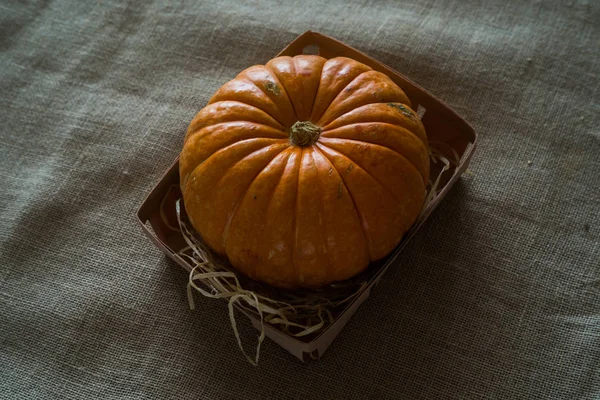 Halloween ideas, pumpkin in wood box — Stock Photo, Image