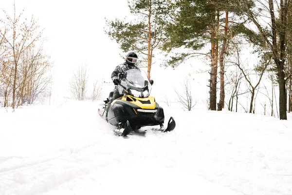 Kar adamı. Kış tatilleri niteliğine rekreasyon kavramı. Kış sporları.