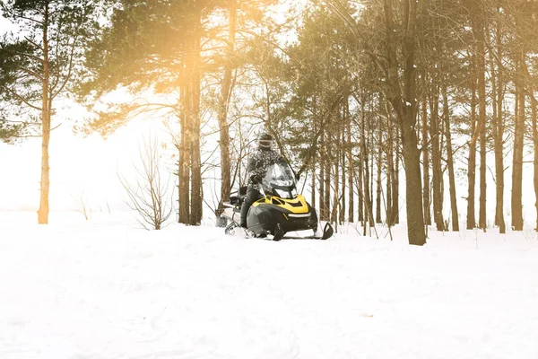 Kar adamı. Kış tatilleri niteliğine rekreasyon kavramı. Kış sporları.