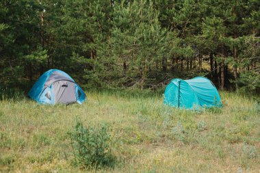 Turist kamp ormanın içinde. Kamp. dinlenme alanı