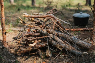 Turist kamp yanındaki şenlik ateşi. Vahşi kavramı içine yolculuk.