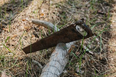 Vahşi kavramı içine yolculuk.