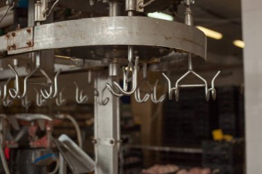 Fabrika tavuk eti üretimi için. teknolojik işlem.