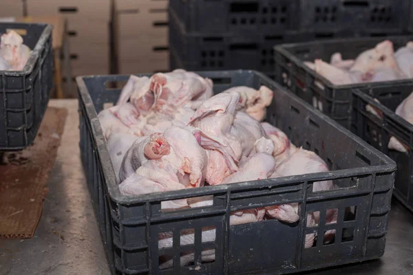 Lavorazione del pollame nell'industria alimentare. produzione di carne . — Foto Stock