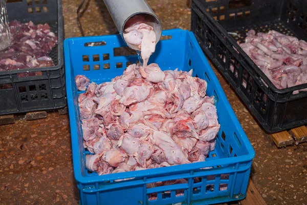 Drůbež, zpracování v potravinářském průmyslu. produkce masa. — Stock fotografie