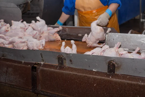 Procesamiento de aves en la industria alimentaria. producción de carne . — Foto de Stock