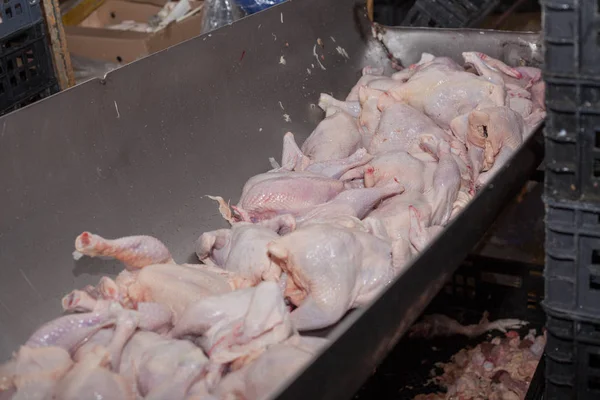poultry processing in food industry. meat production.