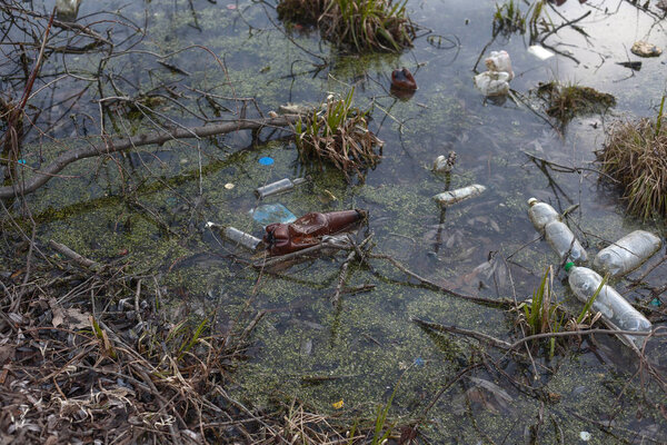 pollution of water bodies. ecological problem