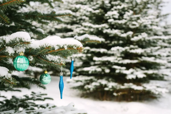 Decorations on the Christmas tree outdoors in a forest. Celebrating the New Year and holidays. — Stock Photo, Image