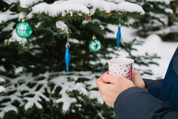 Человек держит чашку горячего чая в руках рядом с елкой в зимнем лесу в новогодние праздники — стоковое фото