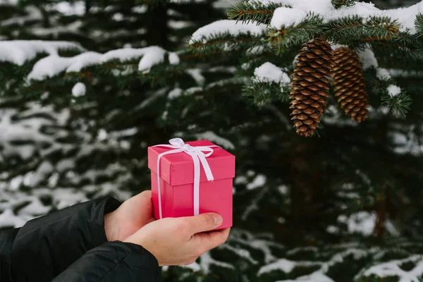 Девушка держит рождественский подарок в розовой коробке — стоковое фото