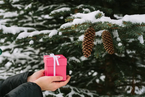 Girl holding a Christmas gift in a pink box — Stock Photo, Image