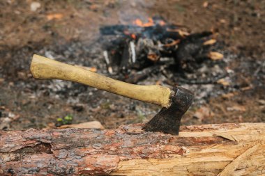 Ormandaki ağaçların yasadışı kesme. Çevresel suç kavramı.